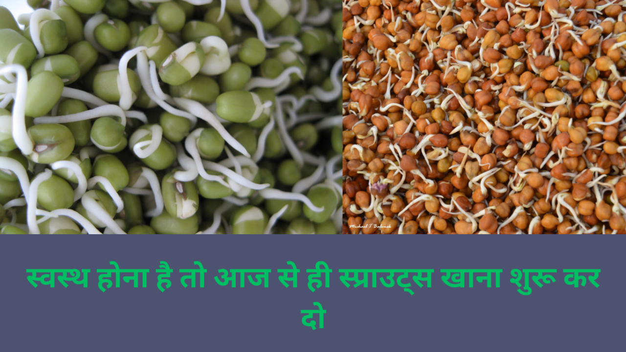स्प्राउट्स