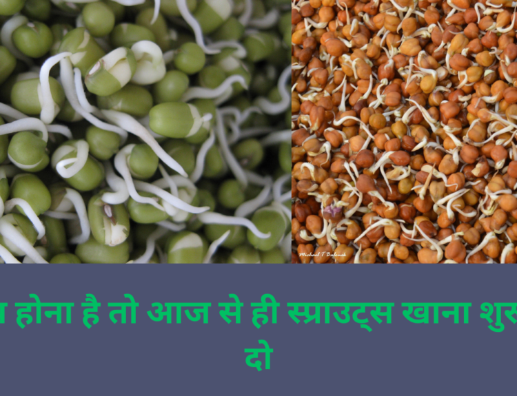 स्प्राउट्स